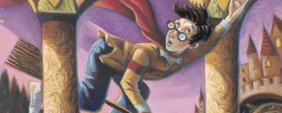 Harry Potter e a Pedra Filosofal livro